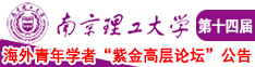 东北骚货南京理工大学第十四届海外青年学者紫金论坛诚邀海内外英才！